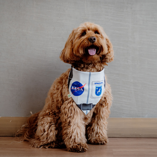 I need my space Bandana