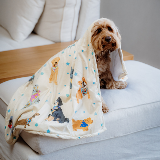Dogs with bandanas Blanket