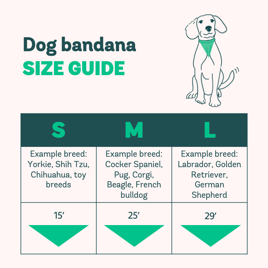 Bandana con amuleto de la suerte