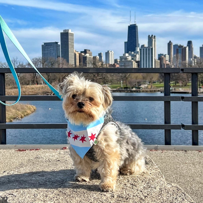 Chicago Bandana