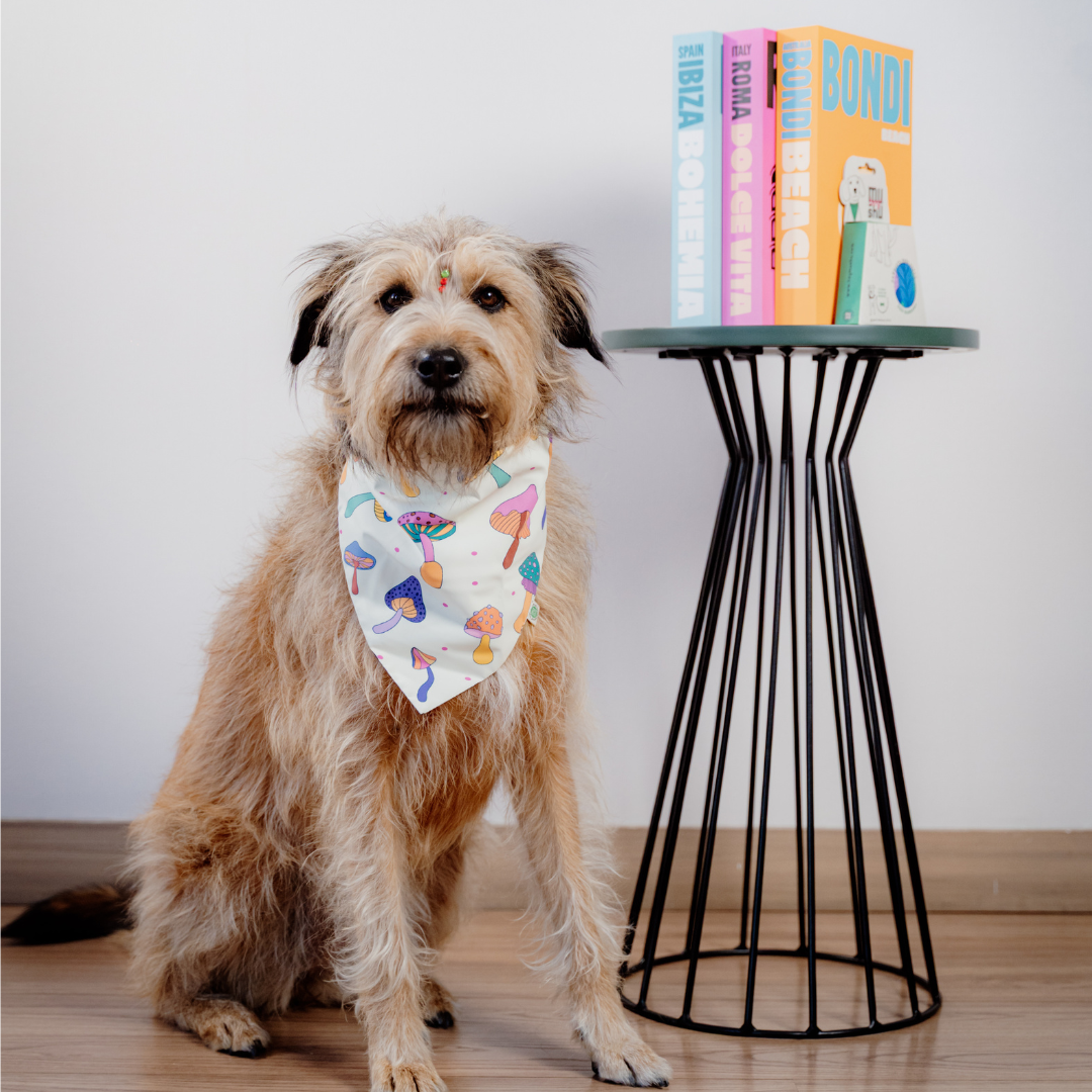 Mushrooms Bandana