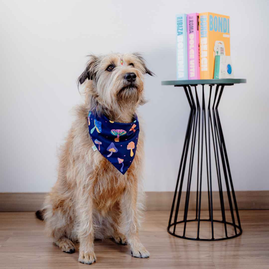Mushrooms Bandana