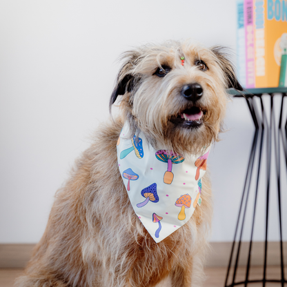 Mushrooms Bandana