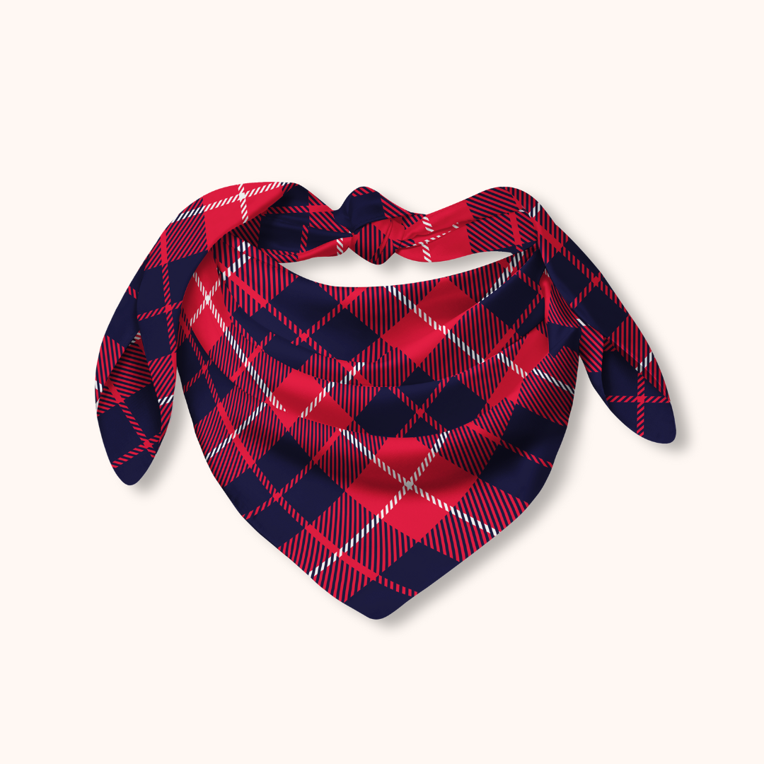 Plaid Bandana