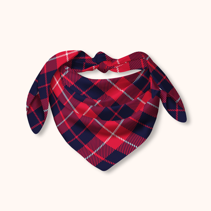 Plaid Bandana