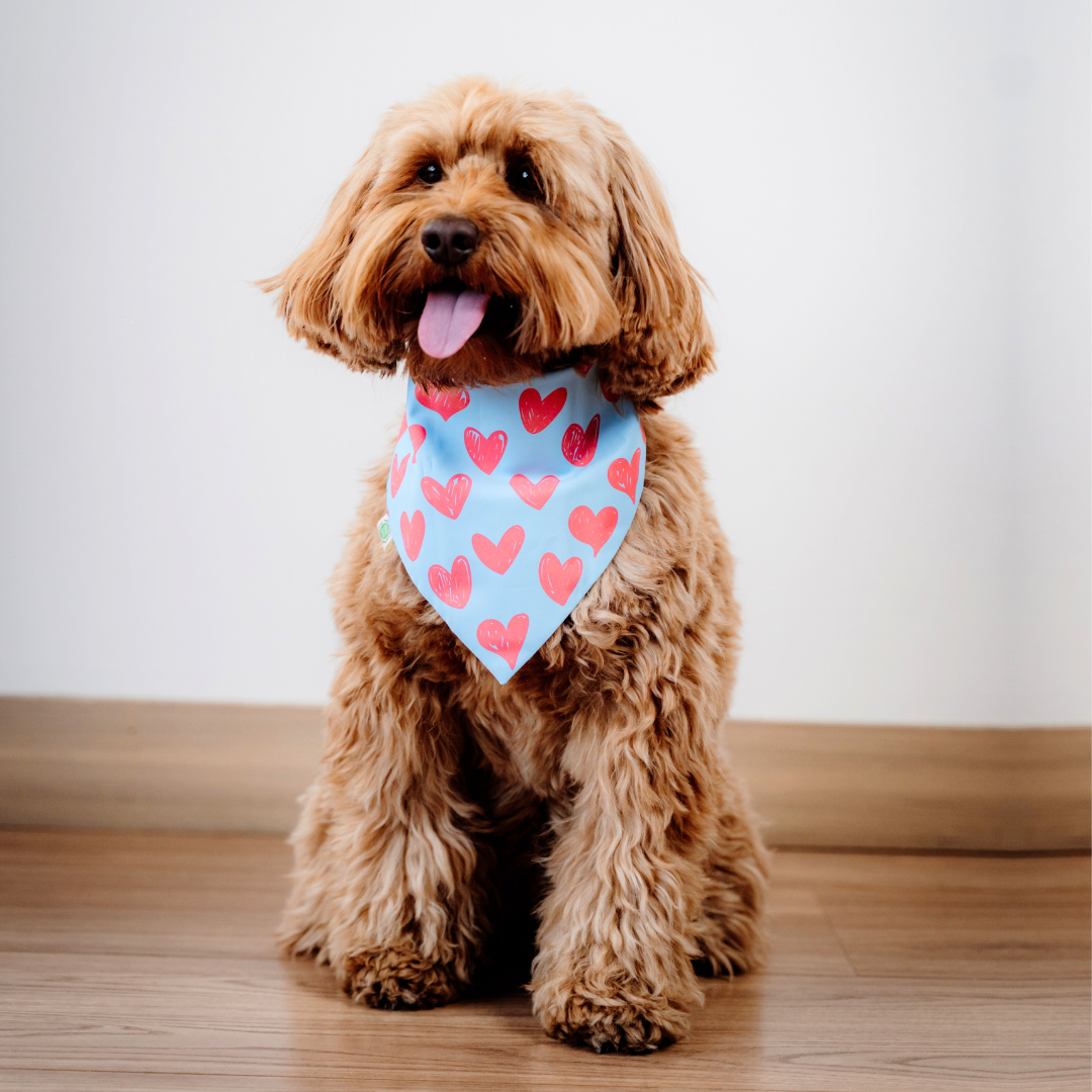 Hearts Bandana