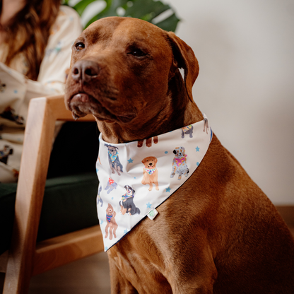 Dogs Bandana