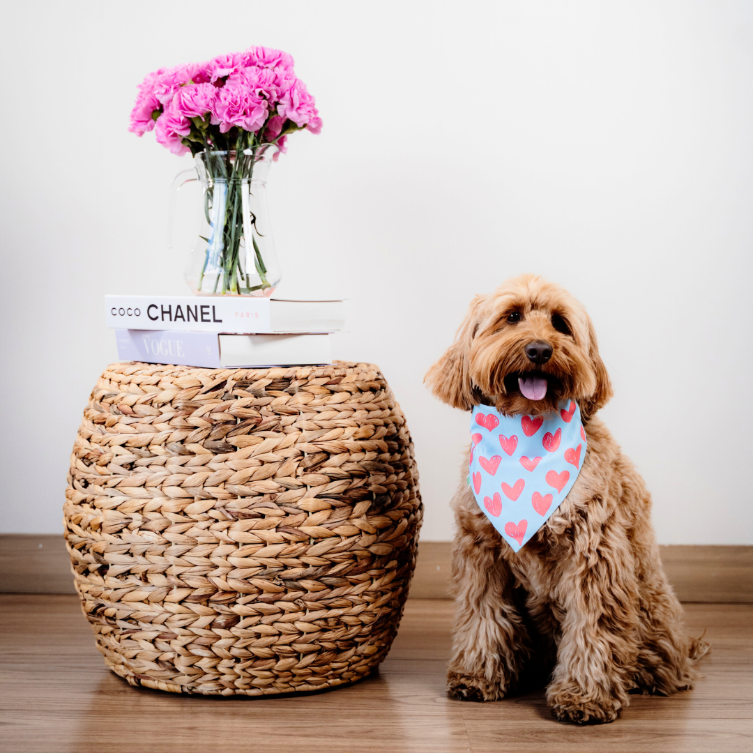 Hearts Bandana