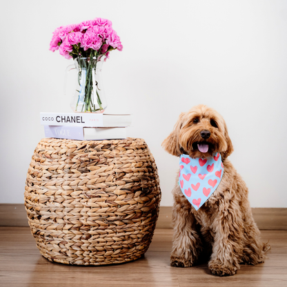 Hearts Bandana