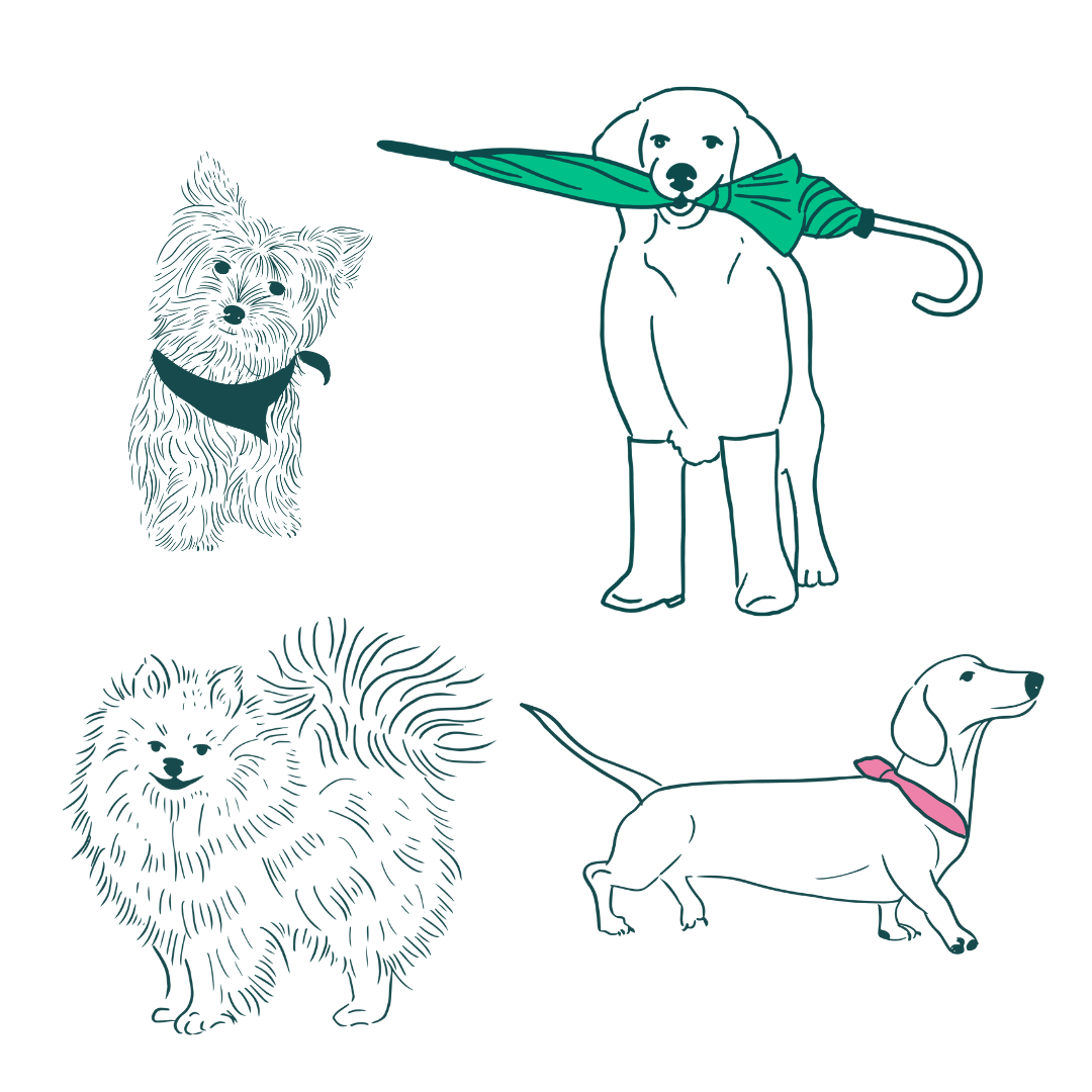 Mug - Hey Mushu Dogs