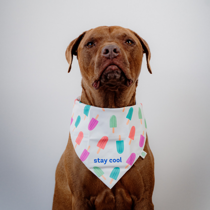 Ice-cream Bandana