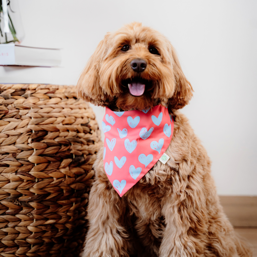 Hearts Bandana