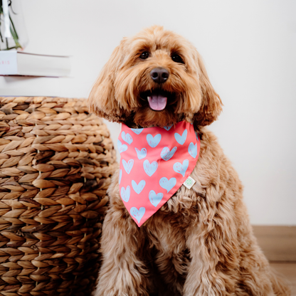 Hearts Bandana