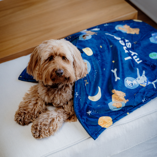 I need my space Blanket