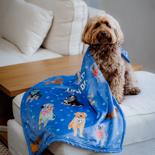 Dogs in Pijama Blanket