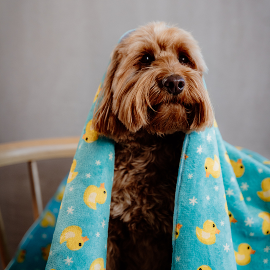 Rubber Ducks Towel