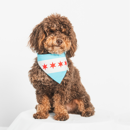 Chicago Bandana