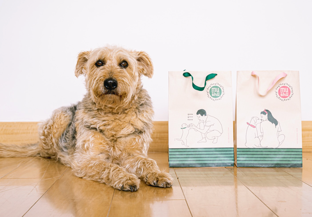Load video: Impossible not to love dogs with bandanas!