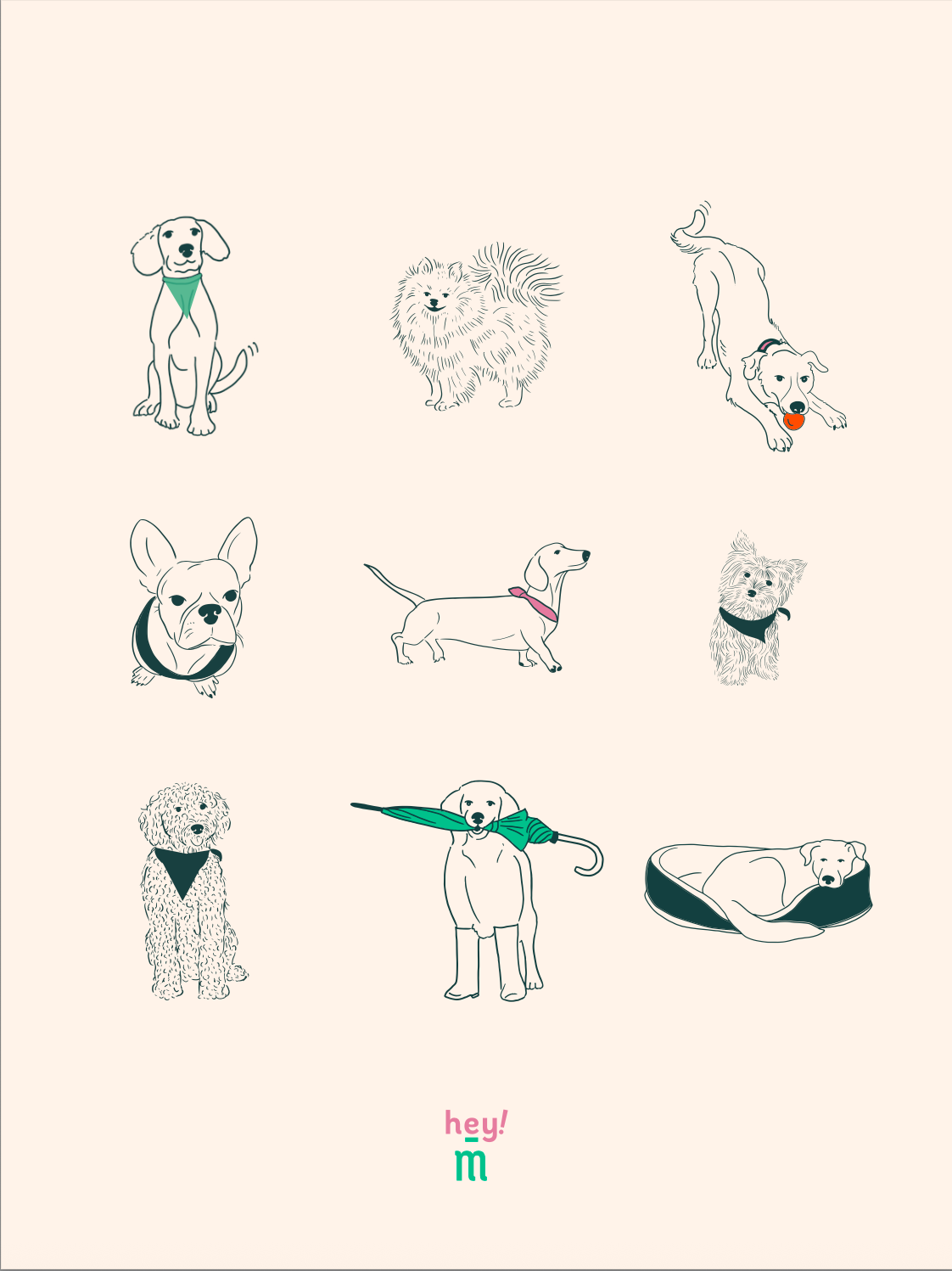 Print - Dogs illustration
