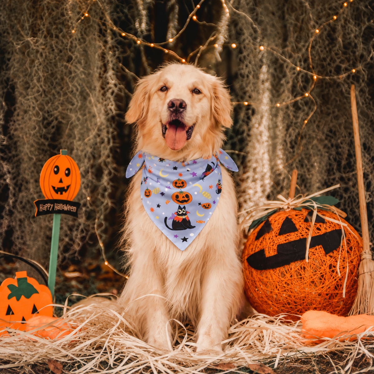 Halloween Bandana - Pumpkins and Cats
