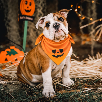 Halloween Bandana - Pumpkins and Cats