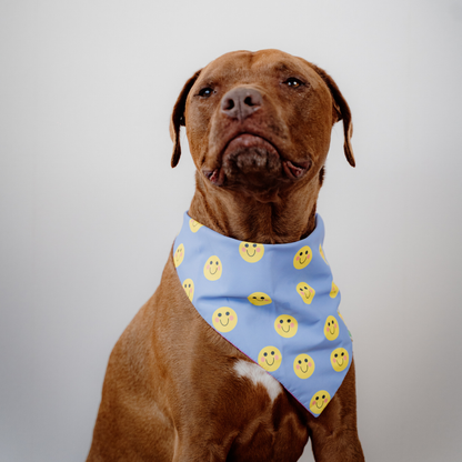 Happy Faces Bandana