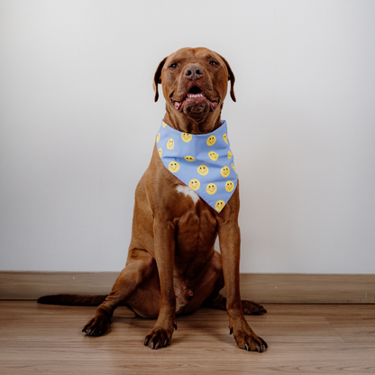 Happy Faces Bandana