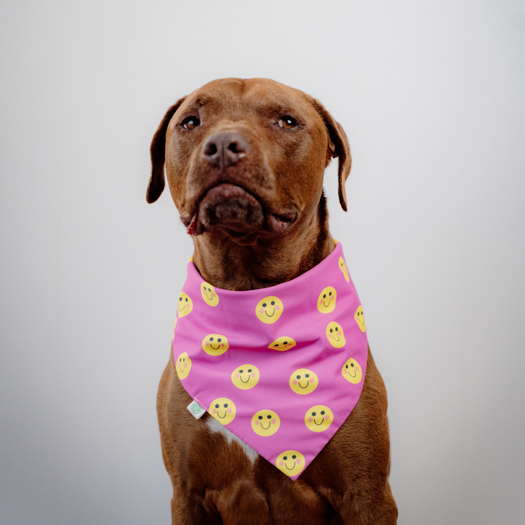 Happy Faces Bandana