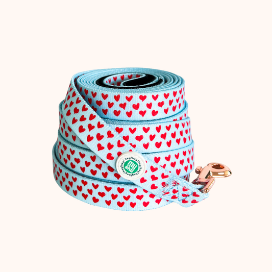Hearts Leash