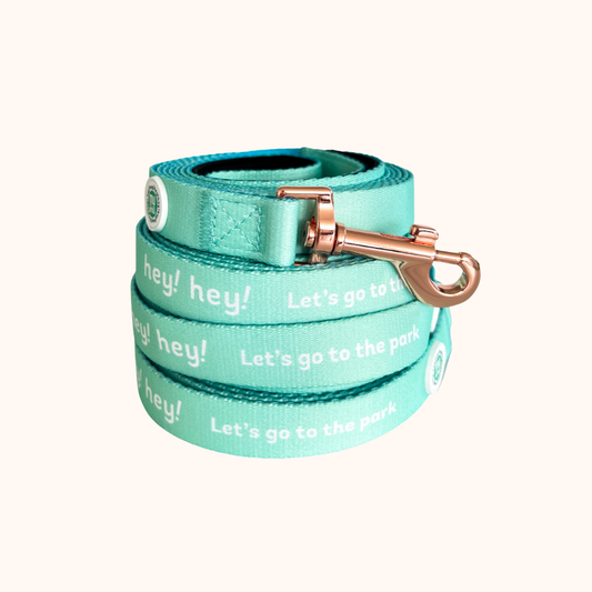 Let's go to the park Leash