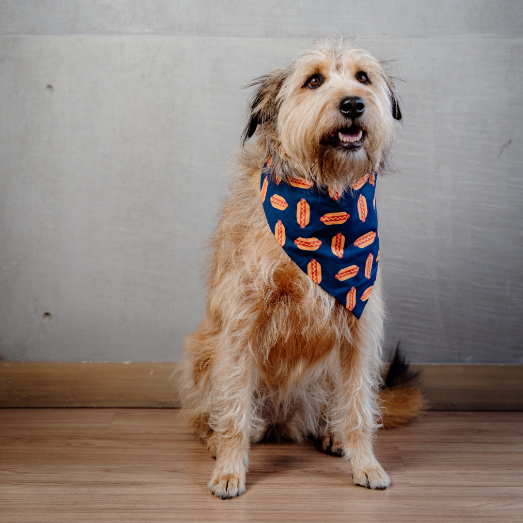 Hot Dogs Bandana