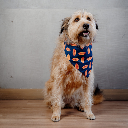 Hot Dogs Bandana