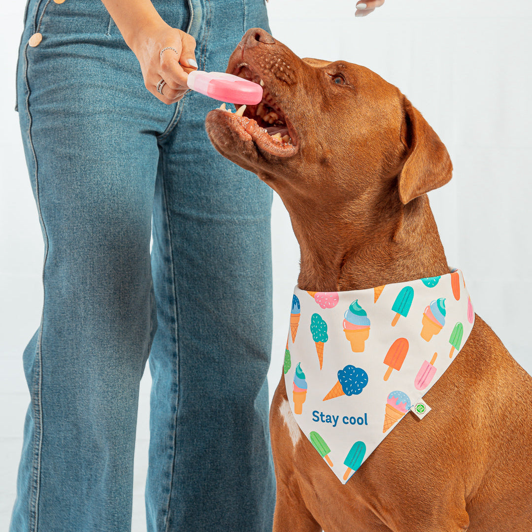 Ice-cream Bandana