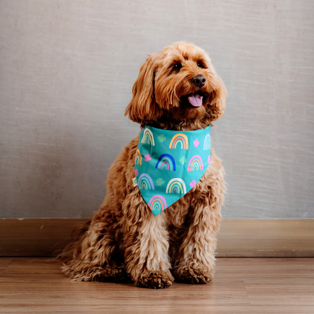 Lucky Charm Bandana