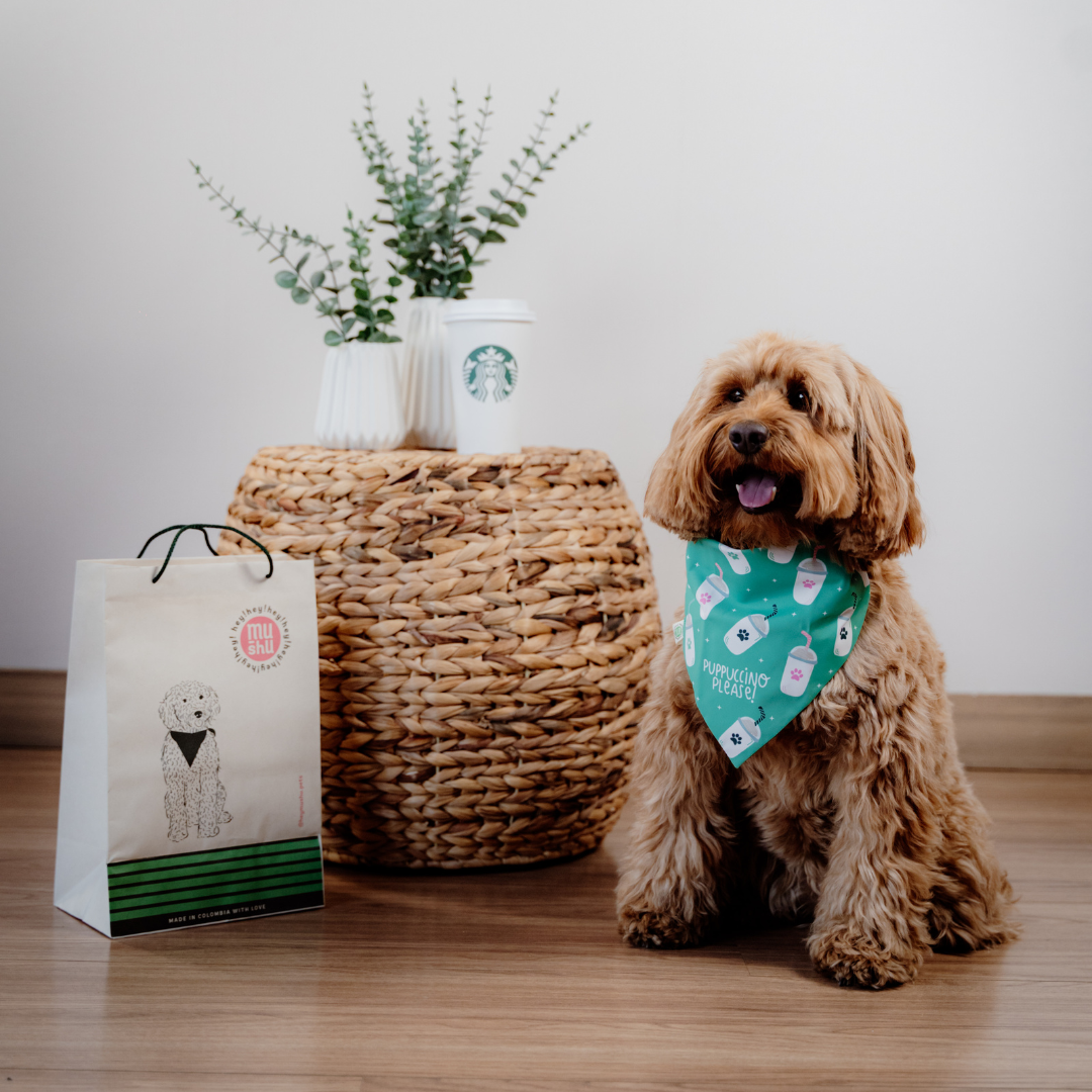 Puppuccino Bandana