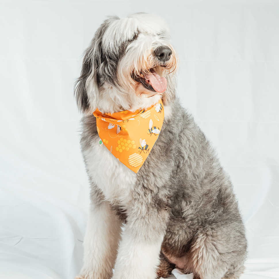 Bees Bandana