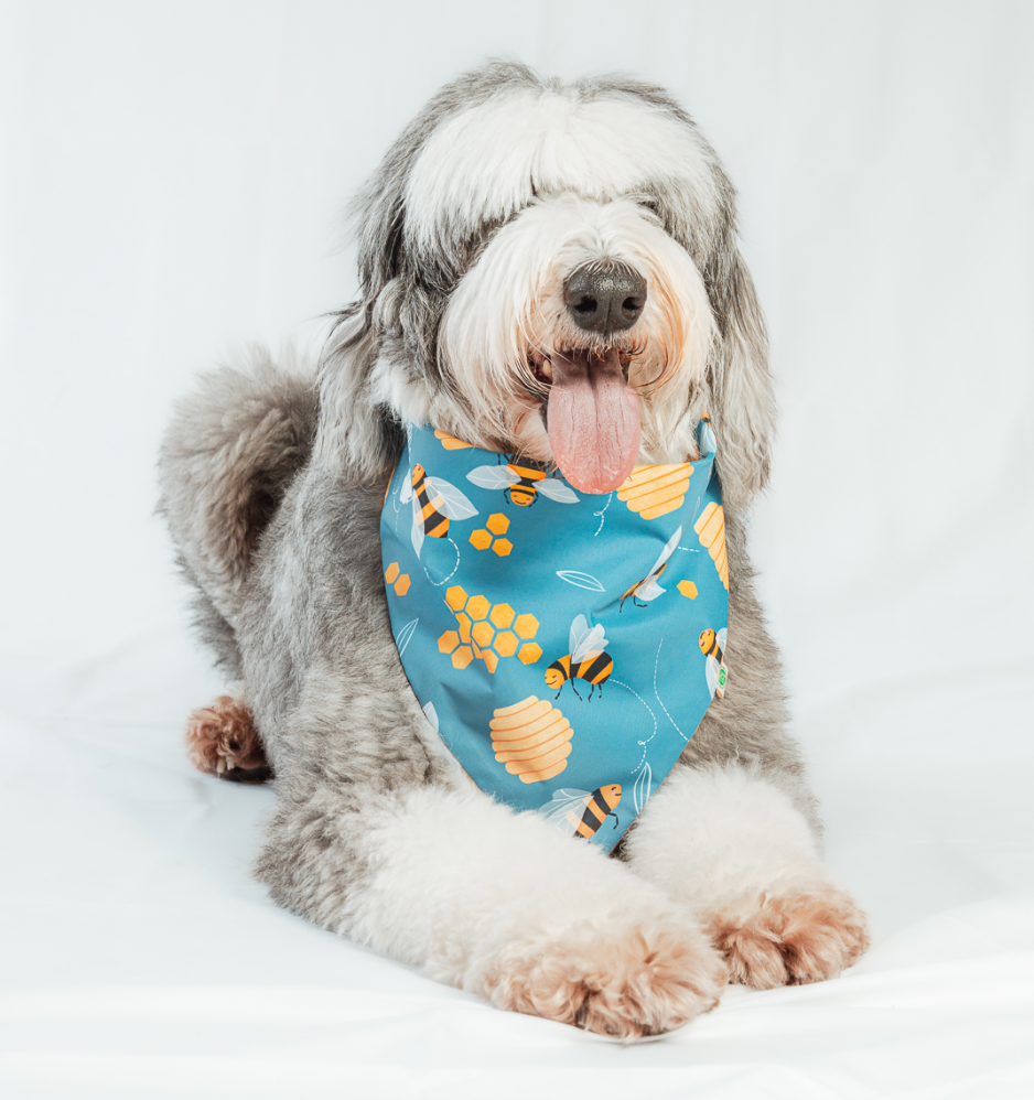 Bees Bandana