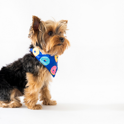 Bandana de donas