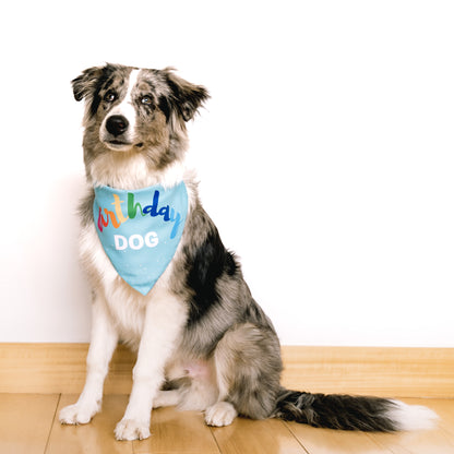 Birthday Bandana