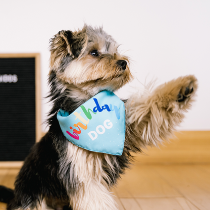 Birthday Bandana