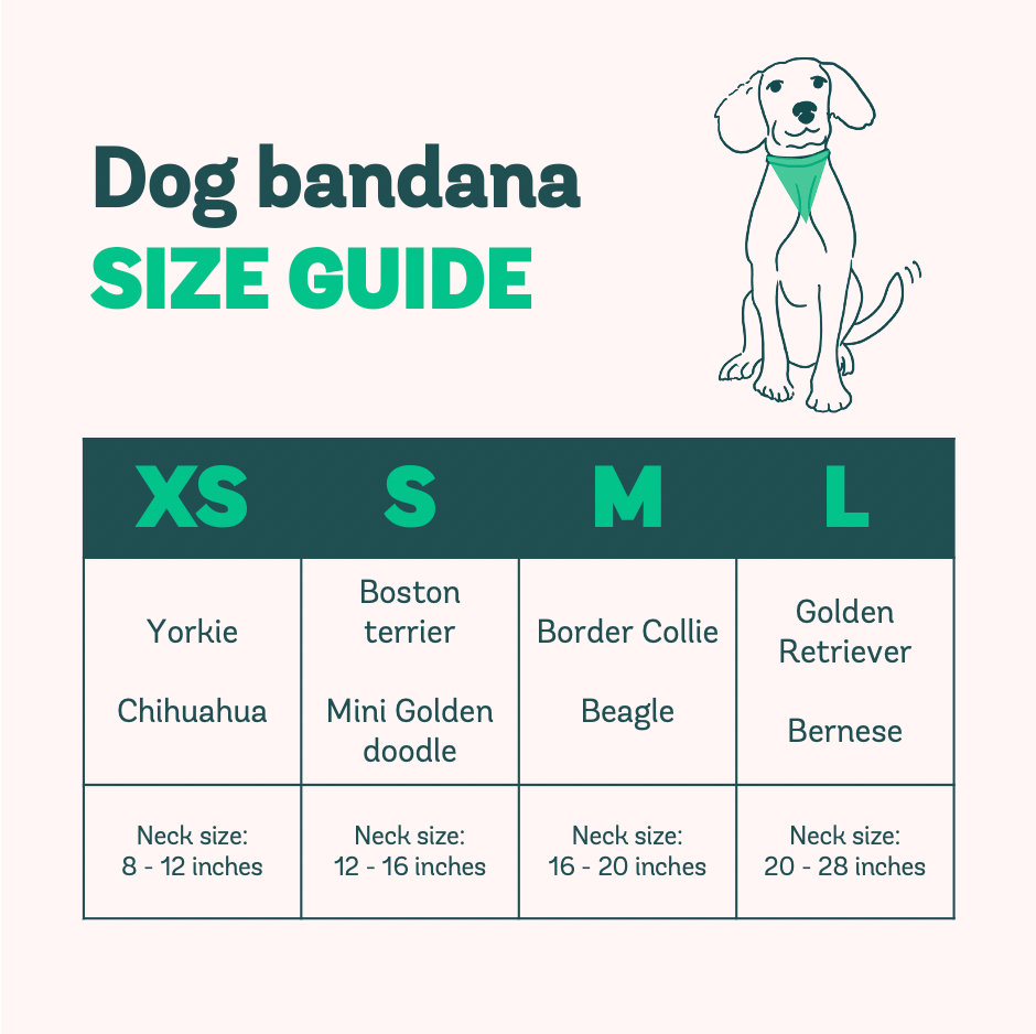 Bandana de Halloween - Día de los Muertos