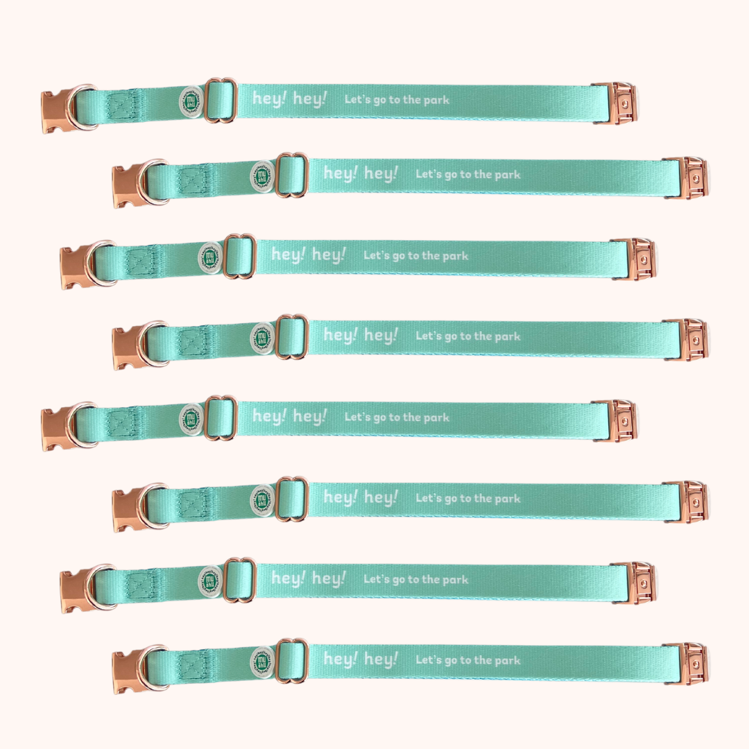 Let's go to the park Collar