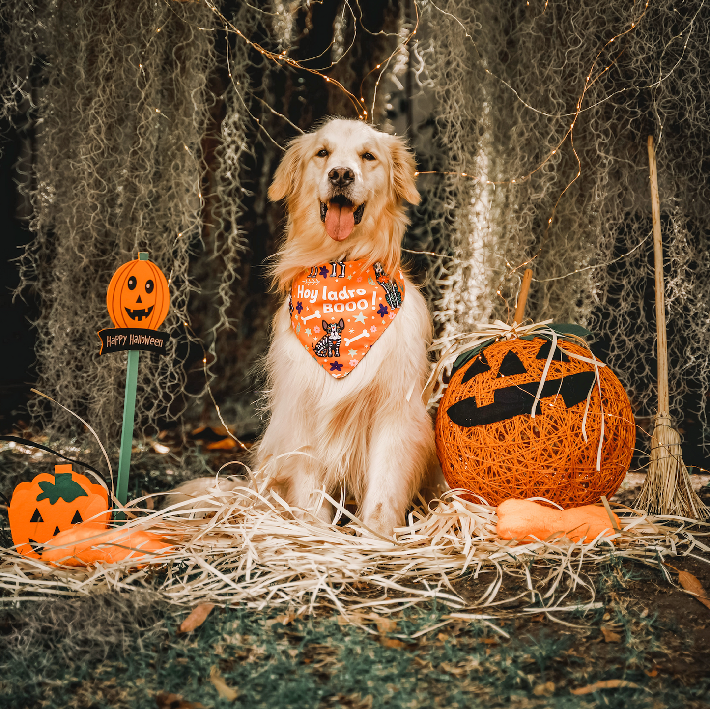 Bandana de Halloween - Día de los Muertos