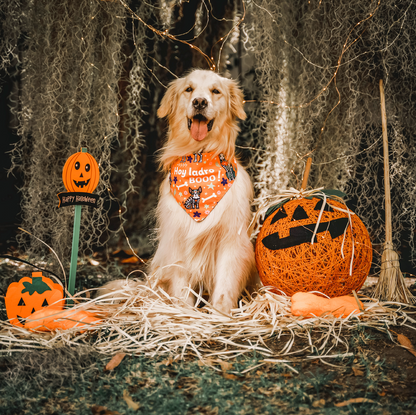 Bandana de Halloween - Día de los Muertos