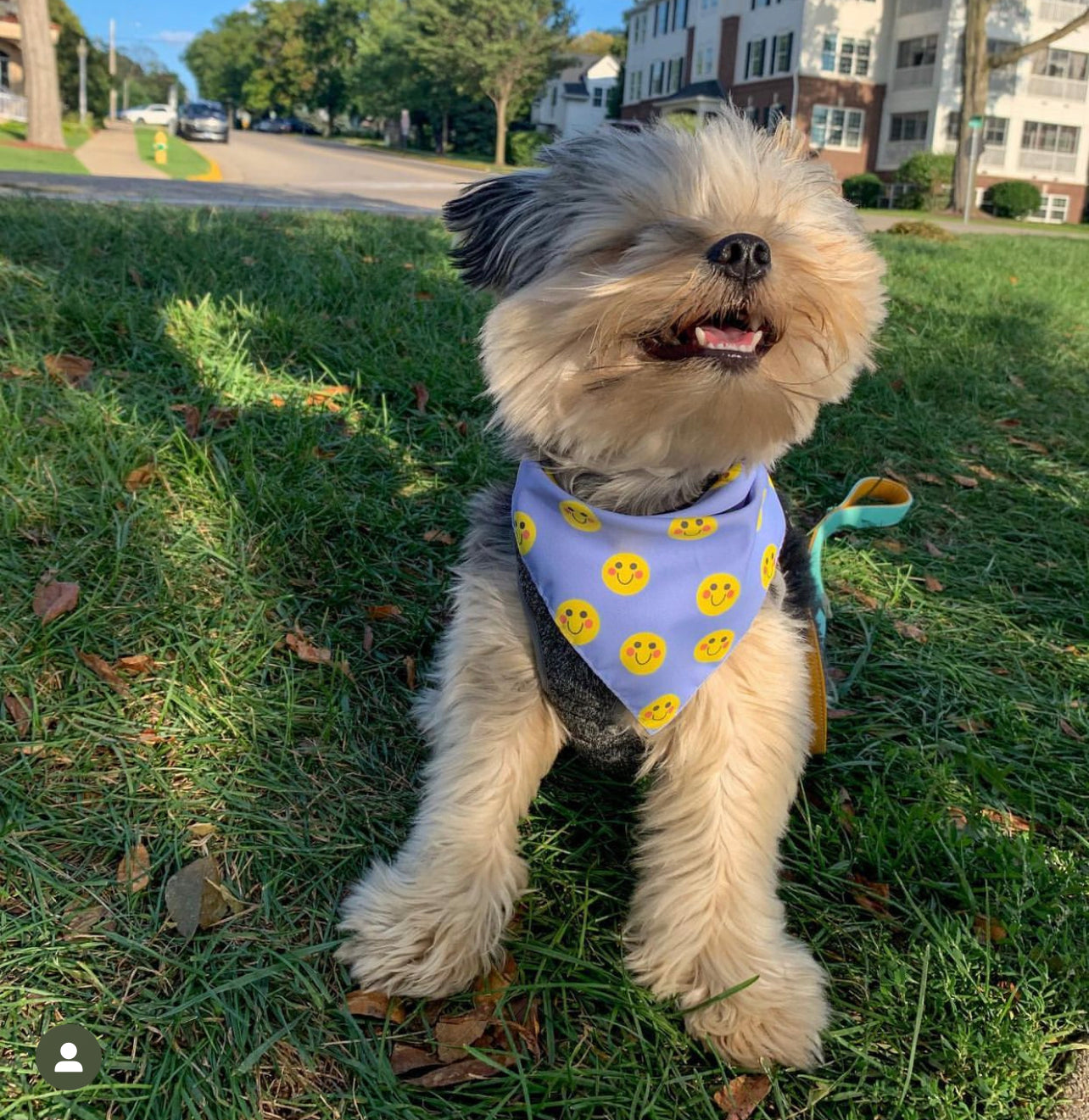 Bandana de caras felices