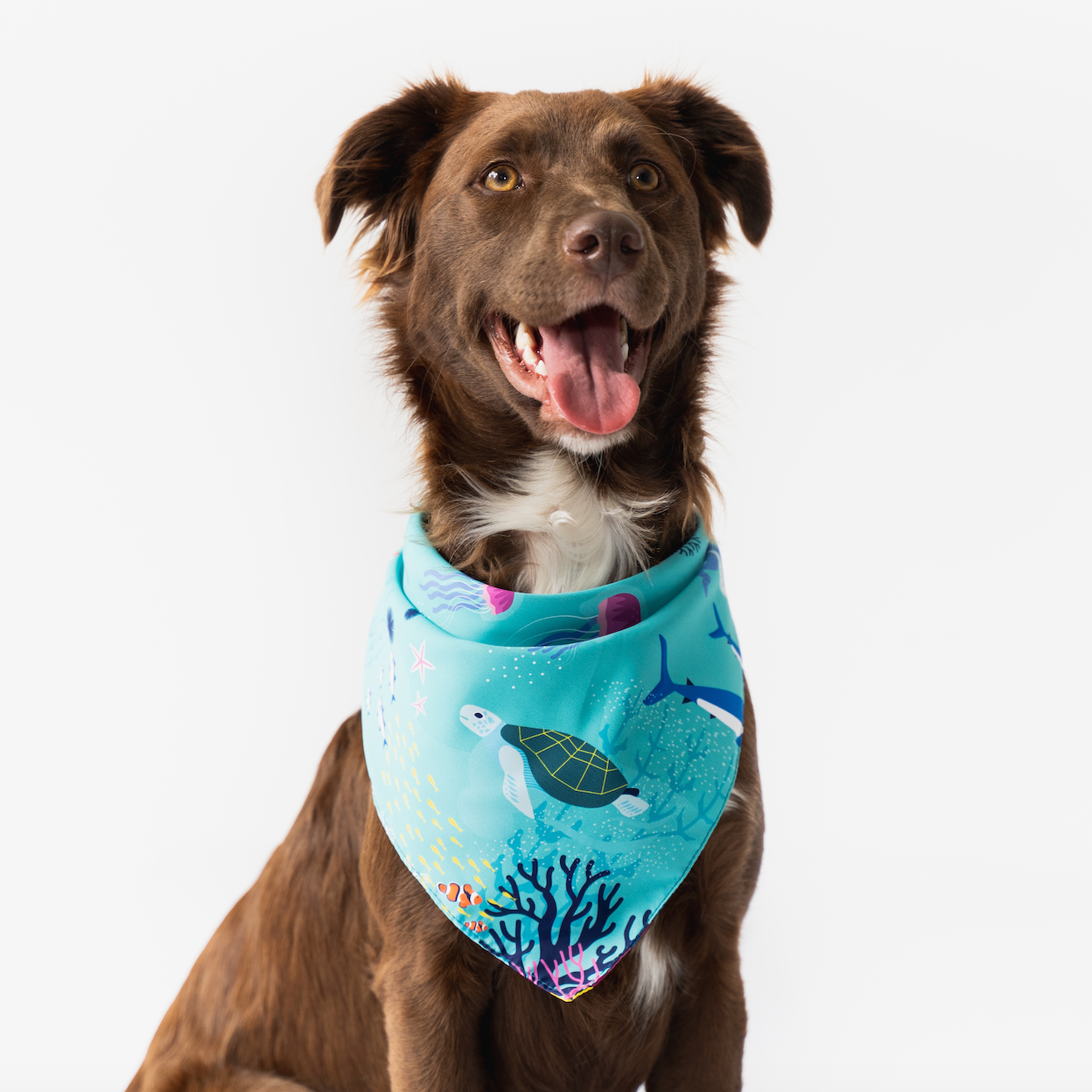 Under The Sea Bandana